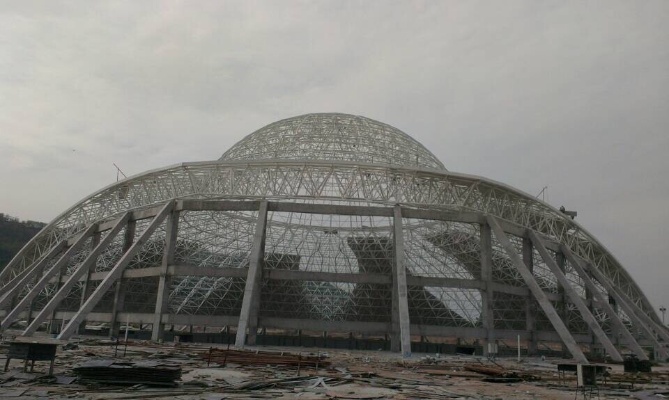 津南体育场馆网架工程